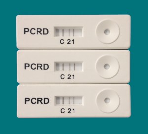 Ӣ(gu)Pocket DiagnosticyʽPCRa(chn)ﶨԙzy(c)PCRzy(c)